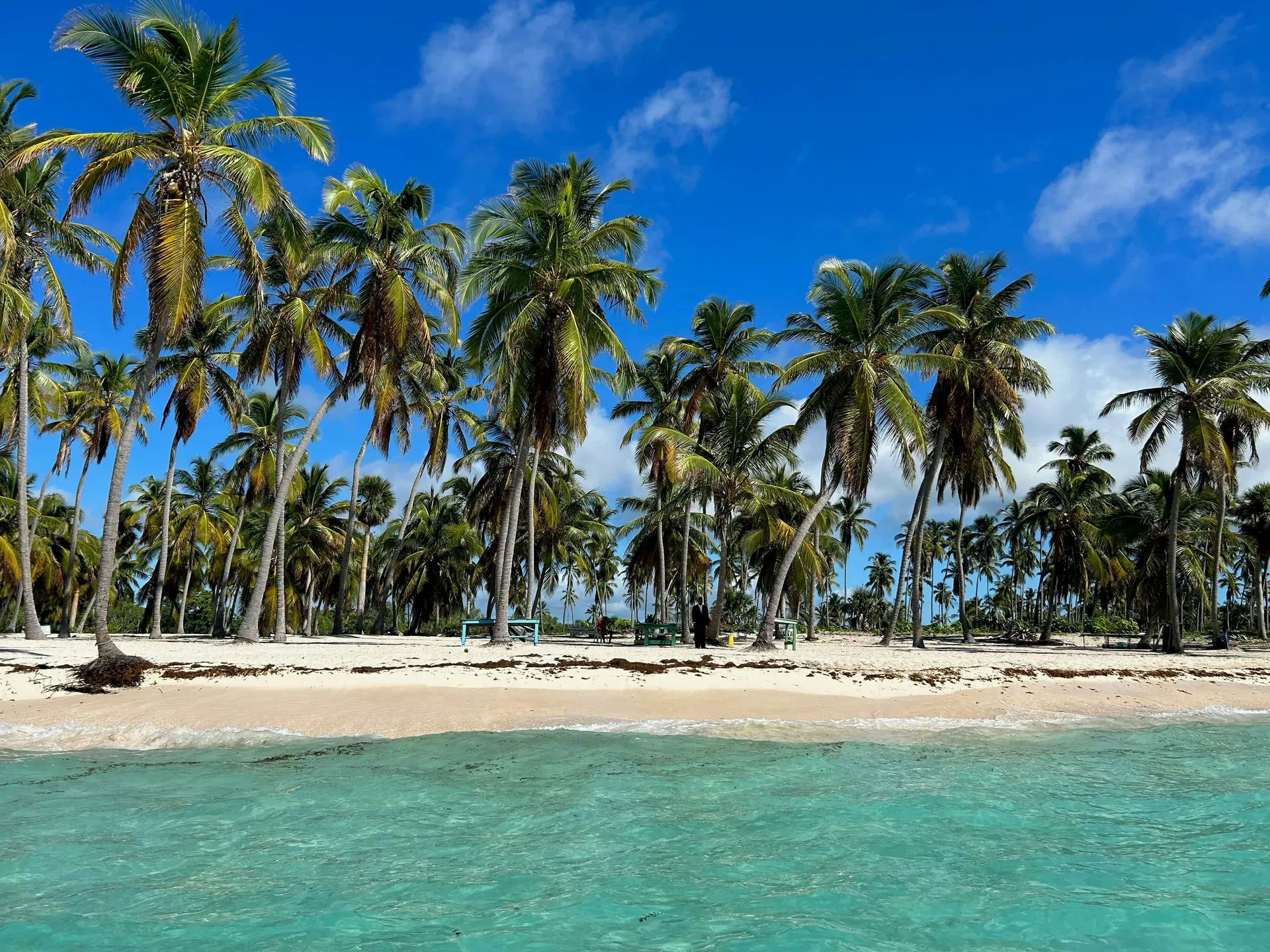 Isla Saona