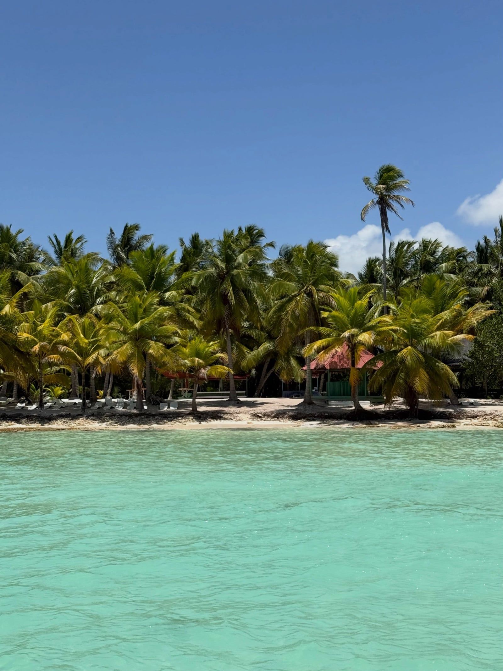 Vista de Isla Saona
