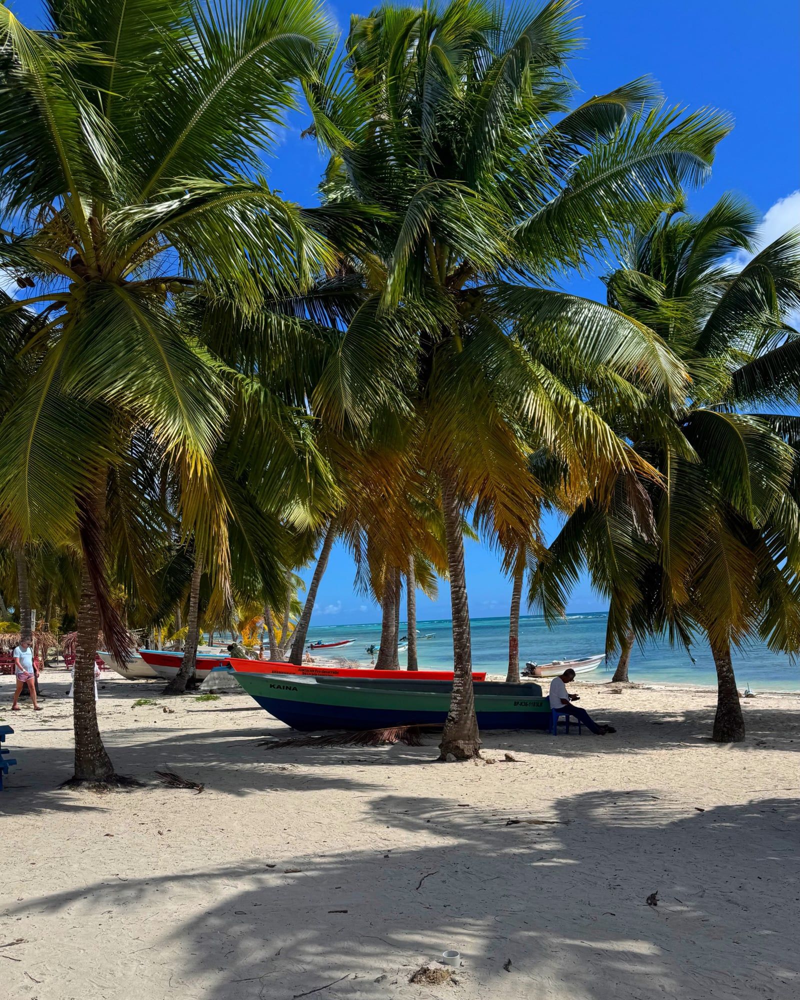 Vista de Isla Saona
