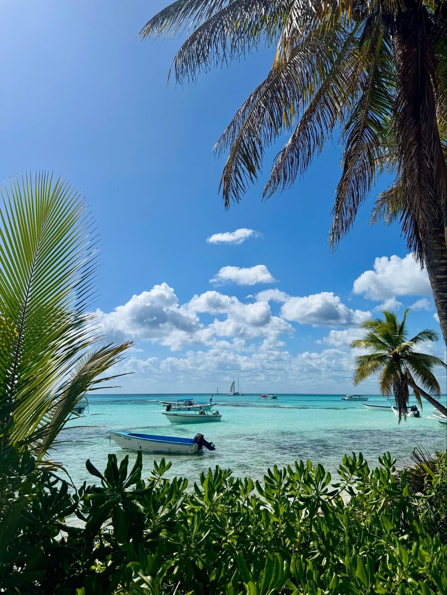 Vista de Isla Saona