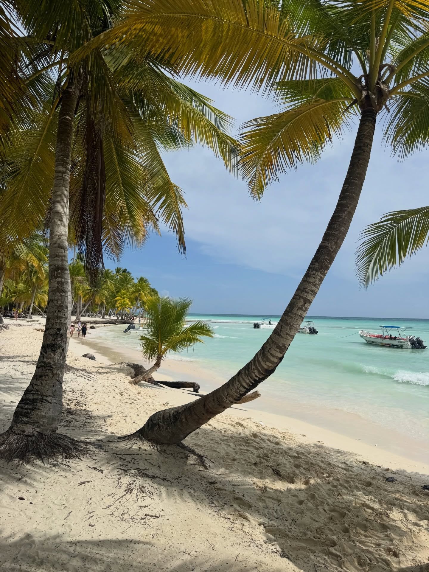 Vista de Isla Saona
